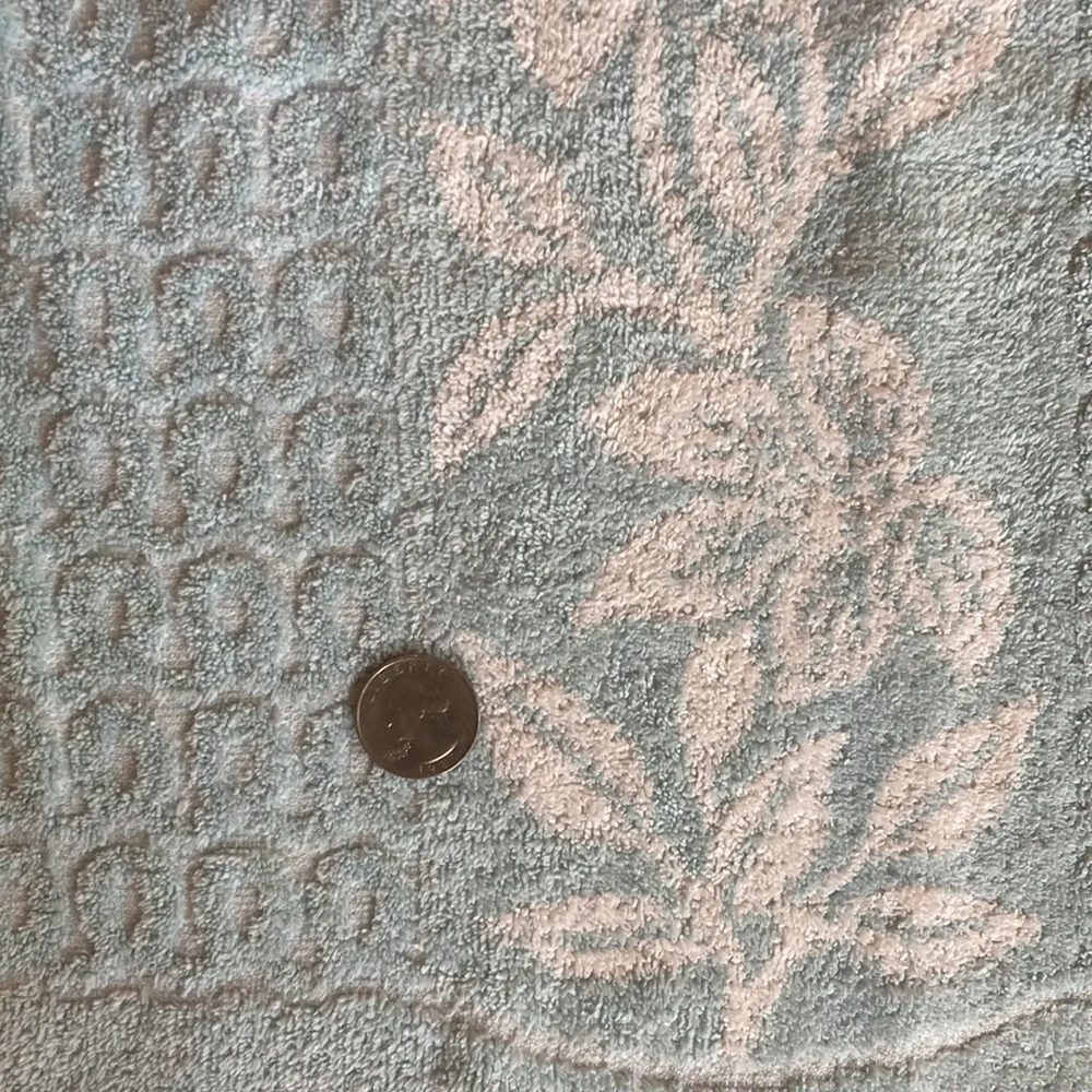 Vintage Cannon pastel blue floral textured two tone bath towel